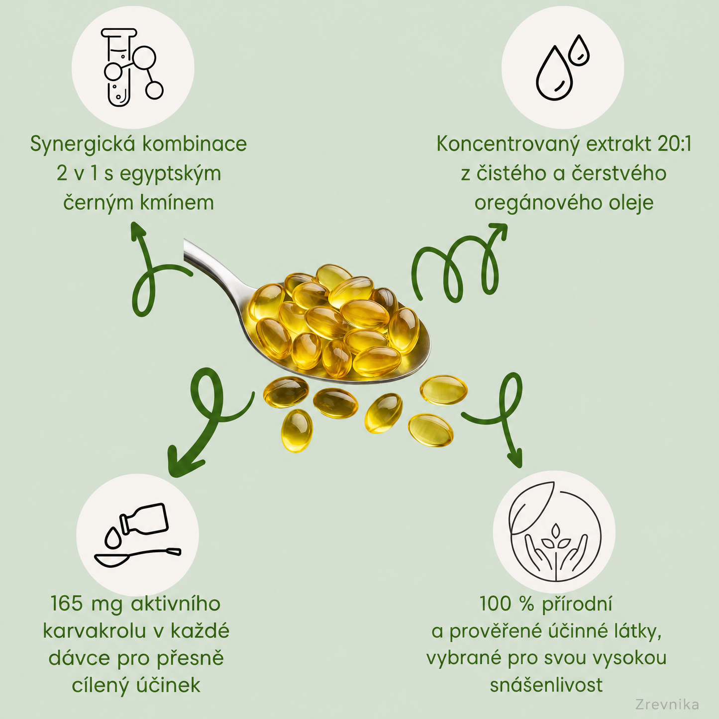 Zrevnika Origano — 3měsíční kúra